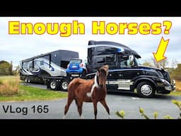 MORE HORSEPOWER? Assateague Island National Seashore. Fulltime Life. HDT RV Lifestyle