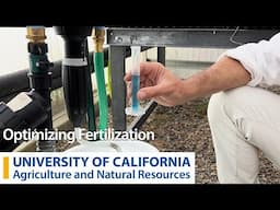 Optimizing Fertilization