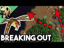 Breaking into the Danger Zone! - Heroes 3: Strife in the Woods (Part 2)