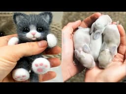 AWW Animals SOO Cute! Cute baby animals Videos Compilation cute moment of the animals #10 2025