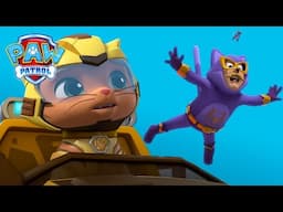 There's a NEW Superhero In Town! Humcatdingerman! | PAW Patrol | 1 Hour Compilation