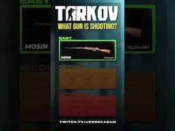 How well do you know Tarkov Guns?