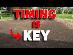 I Broke All the Rules for Sowing Grass Seed… and Got What I Deserved