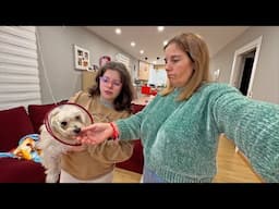nuestra Perrita está ENFERMA