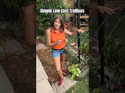 Low Cost Trellises-Hidden in Plain Sight