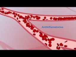 Tratamiento de la granulomatosis eosinofílica con poliangeítis (GEPA)