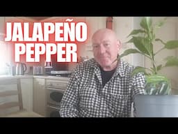 Growing chilli peppers in containers [Container Gardening ]