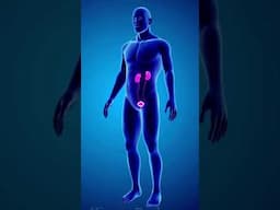 Cancer Experiment