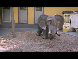 Exploring the Wonders of Schonbrunn Zoo!
