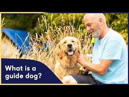 What is a Guide Dog? | Celebrating International Guide Dog Day