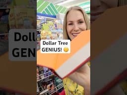 Dollar Tree sells THAT?! 😍 Brilliant INSTANT Oganization!