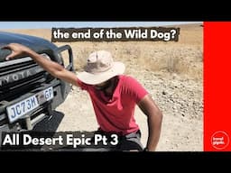All Desert Epic Part 3 - Is it the End of the Road for the Wild Dog? Namib to Kalahari (Namibia)