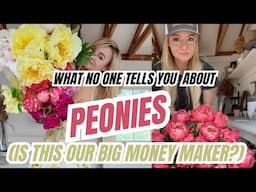 Are peonies our big money maker? They CAN be...