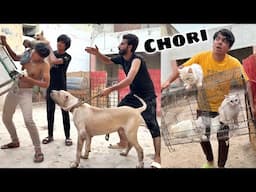 Samad Ka Zoo Ky Sab Pet Chori Krna Laga Lakin 😱