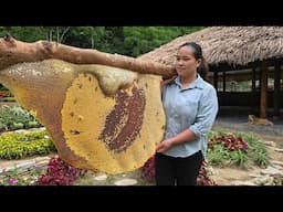 Store & Preserve Honey Properly - Homemade Egg Rolls, Cook Ribs | Ly Thi Ca