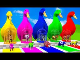 Long Slide Game With Cow Elephant Gorilla Hippopotamus Tiger 3d Animal Game Funny 3d Animals