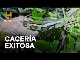 CACERÍA EXITOSA - AMOS DEL PANTANO