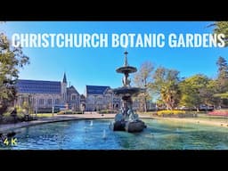 Christchurch Autumn Walk | Christchurch Botanic Gardens Autumn 2025 4K | New Zealand Walking Tour