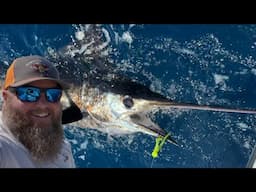 Epic Surprise! Blue Marlin Crushes our Mahi Spread! | 70 Miles Offshore| Catch, Clean, Cook
