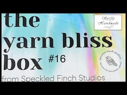 Yarn Bliss Box April 2025 My Box #16 Speckled Finch Studios