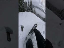 If a tree falls in a forest and no one is around, does @mikeyciccarelli  still jib it?