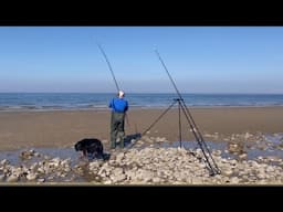 Beach Fishing for BASS❗️
