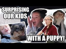SURPRISING OUR KIDS!! |Somers In Alaska