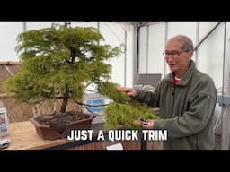 Just a Quick Trim