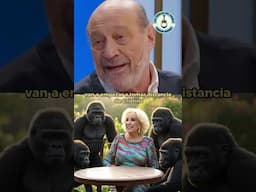 ¡LÁGRIMAS DE GORILAS! Lloran en lo de Mirtha por Cristina #cfk #balcon #leuco #mirthalegrand