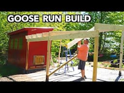 Building Our Small Farm  - Goose House Build