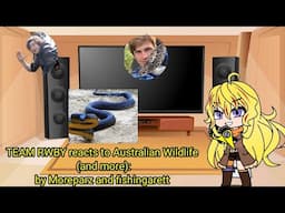 Team RWBY reacts to Australian Wildlife (and more!) By @moreparz and @fishingarrett