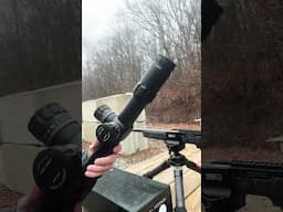 Scope weighs more than the 10/22!