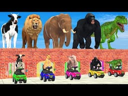 Cow Elephant Lion Gorilla Tiger T-Rex Find the Right Mommy ESCAPE ROOM CHALLENGE Animals Cage Game