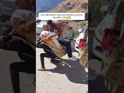 kedarnath yatra pittu reality #kedarnathyatra2025