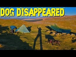 Lost my Dog at 1:30am - Tarp Wild Camping