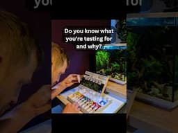 How often do you test your aquarium? How often SHOULD you test your aquarium?
