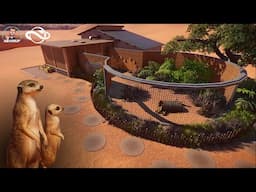 Building A Meerkats Home In The Desert In Planet Zoo