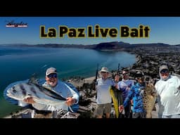 Baja Pirates Live Bait Fishing