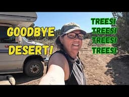 Traveling w/a Friend, Free Camping in the Trees and Getting Lost?