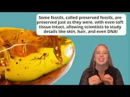 How Fossils Form: Preserved Remains, Permineralization, and Compression Explained