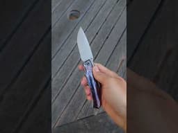 WE Wednesday: WE Swordfin #edc #knives #shorts