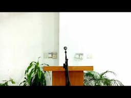 ESTUDIO DE MIERCOLES - 11-06-2025
