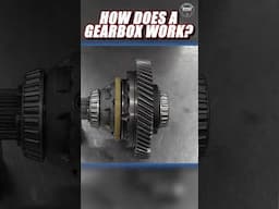 What's inside a manual gearbox?  #automobile #garage #racing #binky #bom