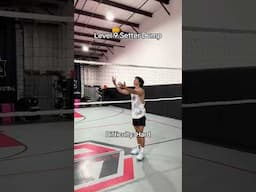 What’s the best setter dump in the game of volleyball? #volleyballplayer #volleyball
