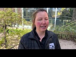 Okapi Allergy Testing - Cincinnati Zoo