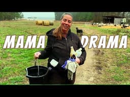 We've Seen This Lambing Issue Before | Farm Life VLOG