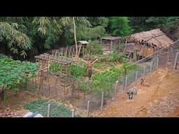 4 Year Living Off the Grid – No Tech, Just Forest and Food | ana bushcraft