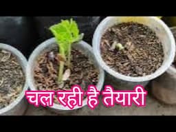 Preparation of rainy season vegetables