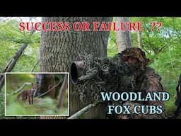 MEASURING SUCCESS - IMAGES OR THE EXPERIENCE - WOODLAND FOXES
