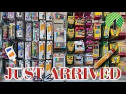 DOLLAR TREE🚨SHOCKING NEW ARRIVALS FOR $1.25 & UP‼️ #dollartree #shopping #new